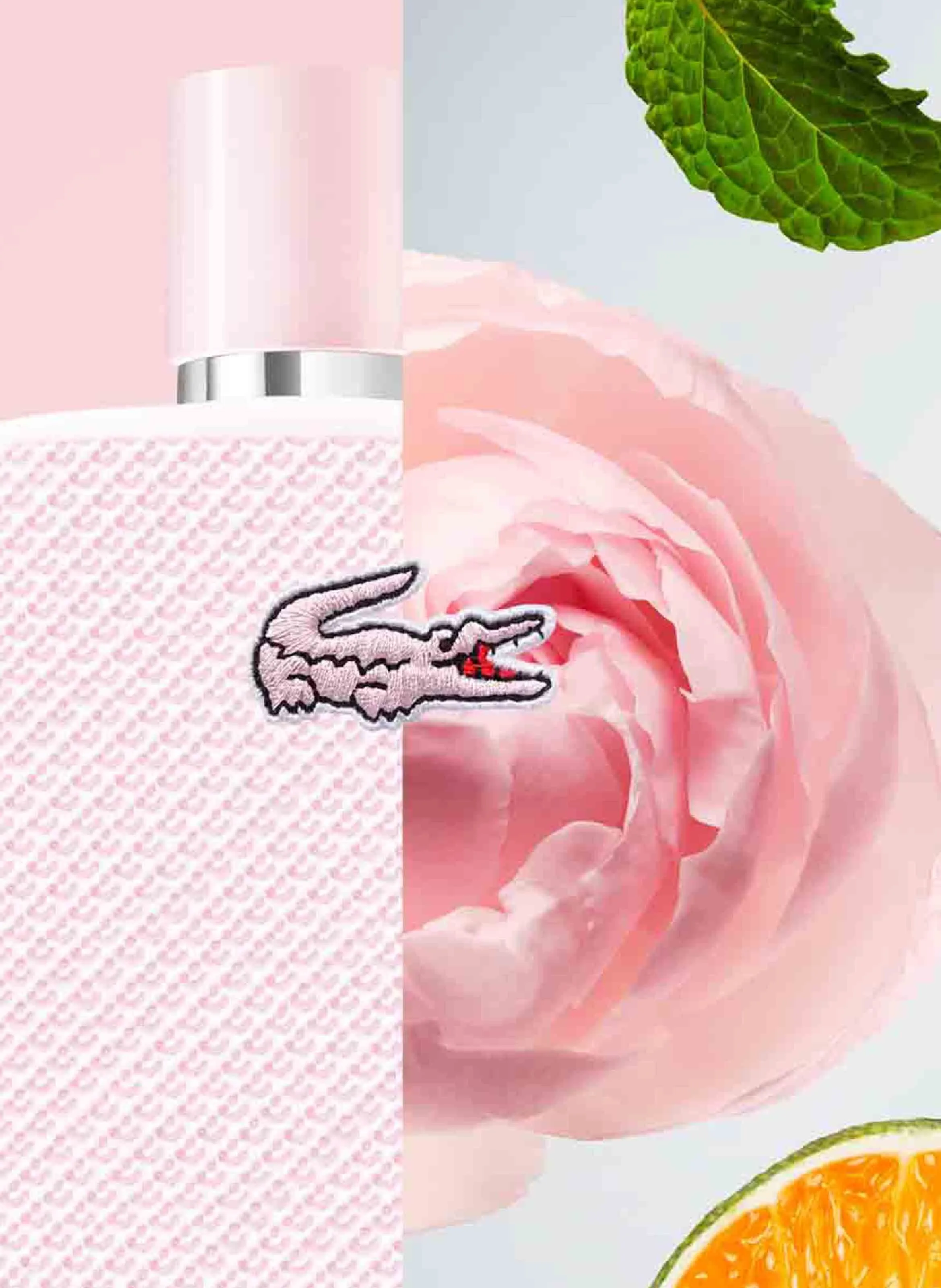 LACOSTE  Eau de parfum - L.12.12 Rose